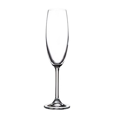 Набор бокалов для шампанского Crystalite Bohemia Colibri/Gastro 220 мл (6 шт) - фото 19496