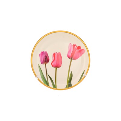 Набор тарелок Toygar Tulip 21см (6шт) - фото 30076