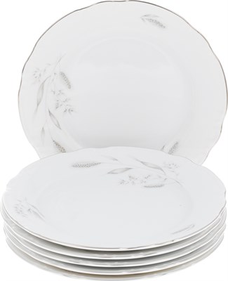 Набор тарелок десертных 19 см Thun Constance Серебряные колосья отводка платина (6 штук) - фото 41356