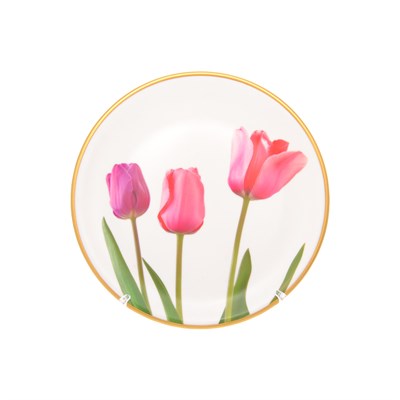 Набор тарелок Toygar Tulip 25см (6шт) - фото 47463