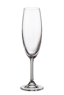 Набор фужеров для шампанского "SYLVIA" 220 мл Crystalite Bohemia (6 штук) - фото 52995