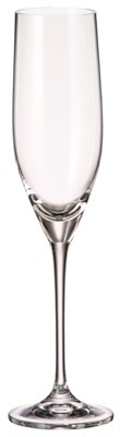Набор фужеров для шампанского "SITTA" 240 мл Crystalite Bohemia (6 штук) - фото 53219