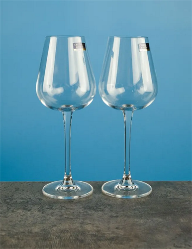 Набор бокалов для вина REPAST EVE 260 мл (2 шт) 67970 - фото 96986