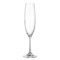 Набор бокалов для шампанского Bohemia Crystalite Milvus/Barbara 250 мл (2 шт)