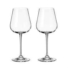 Набор бокалов для вина Crystalite Bohemia Аrdea/Amudsen 450 мл (2 шт)