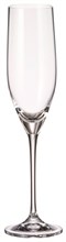 Набор фужеров для шампанского "SITTA" 240 мл Crystalite Bohemia (6 штук)