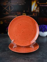 Тарелка Repast Lifestyle TERRACOTTA 21см (2шт)