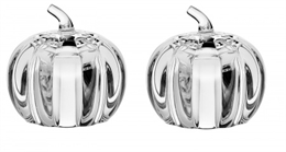 Набор для специй SALT&PEPPER "Тыква" 7,4 см (2 шт.) БПХ399