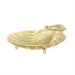 Ракушка декоративная ББ77042