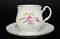 Кружка с блюдцем 310 мл Джонас Bernadotte Полевой цветок - фото 14757