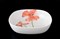 Салатник 25 см Леон Красные маки - фото 16356