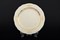 Набор тарелок Мария Луиза IVORY 19 см (6 шт) - фото 16385