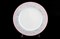Набор тарелок Thun Яна Серый мрамор с розовым кантом 25 см (6 шт) - фото 21514