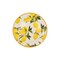 Набор тарелок Toygar Lemon White 25см (6шт) - фото 30083
