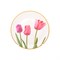 Набор тарелок Toygar Tulip 25см (6шт) - фото 47463