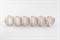 Набор колец для салфеток "Gold Head" Белый декор Leander (6 штук) - фото 51817