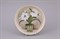 Тарелка мелкая подвесная 21см "Домашний цветок" декор 3 Leander - фото 52674