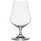 Набор бокалов для бренди 300 мл "ALCA" Crystalite Bohemia (6 штук) - фото 52859