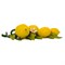Панно настенное Orgia Лимоны 32 см - фото 61603