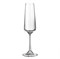 Набор бокалов для шампанского Crystalite Bohemia Corvus/naomi 160 мл (2 шт) - фото 64595