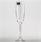 Фужер для шампанского Crystalite Bohemia Colibri/Gastro 220 мл (1 шт) - фото 64667