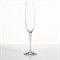 Набор бокалов для шампанского Crystalite Bohemia Fulica 250 мл (6 шт) - фото 65864
