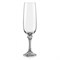 Набор бокалов для шампанского Джулия 180 мл (6 штук),  недекорированный Crystalex - фото 67950