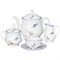Чайный сервиз на 6 персон Rococo, декор "Гуси" Cmielow 15 предметов - фото 67965