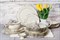 Сервиз столовый на 6 персон 25 предметов "105 years anniversary" Rudolf Kampf слоновая кость, золотая отводка - фото 71477