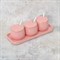 Набор ёмкостей для сыпучих продуктов с ложками на подносе Royal Classic Pink line  (3 шт) - фото 73772